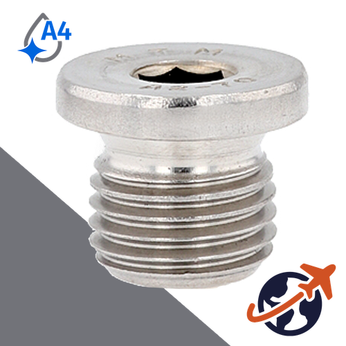 Flanged Allen Socket Plug,DIN 908,A4 Stainless Steel