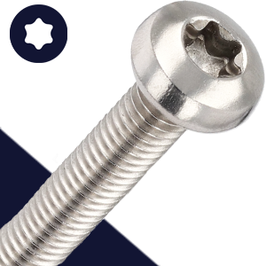 M5X0.8 Torx Pan Head,Stainless Steel A2,ISO 14583