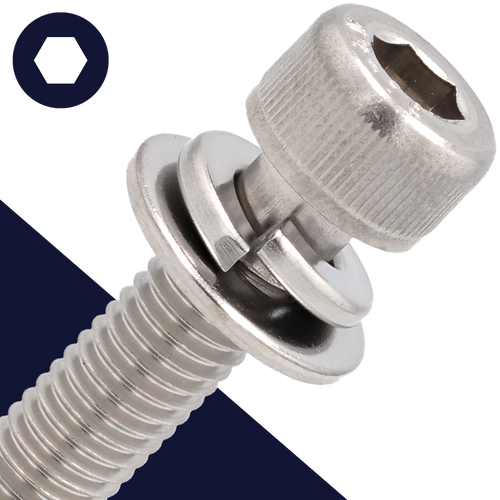 M8X1.25 SEMS Socket Head,Stainless Steel,Flat + Lock Washer