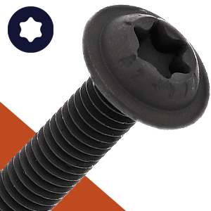 M6X1.0 Torx Button Flange,A2 Stainless + Black Oxide,ISO 7380-2 TX