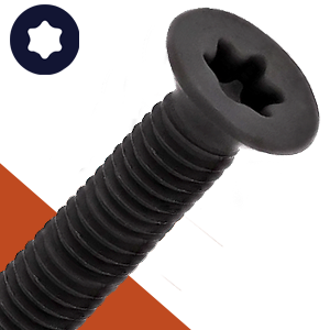 M8 Torx Flat Head,Stainless + Black Oxide,ISO 14581