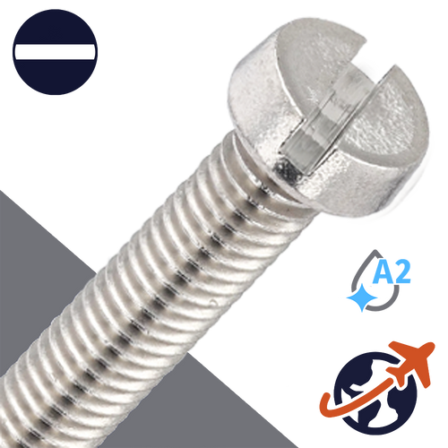 M10X1.5 Slotted Cheese Head - A4-70 Stainless DIN 84