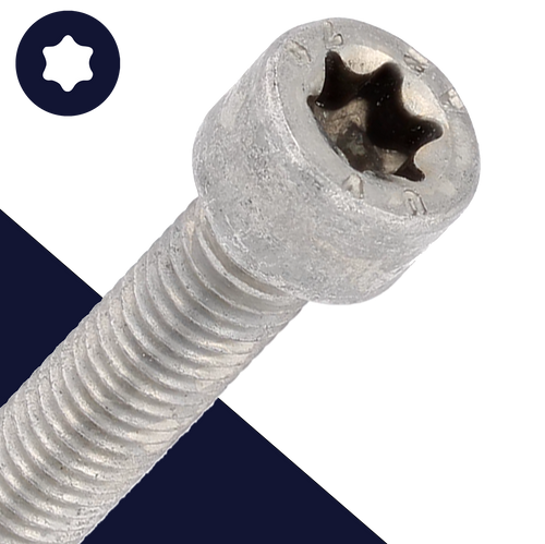 M3X0.5 Torx Socket Head - A2 Stainless ISO 14579