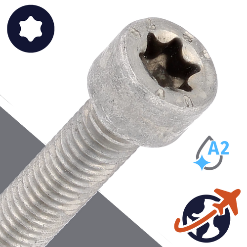 M10X1.5 Torx Socket Head - A2-70 Stainless ISO 14579