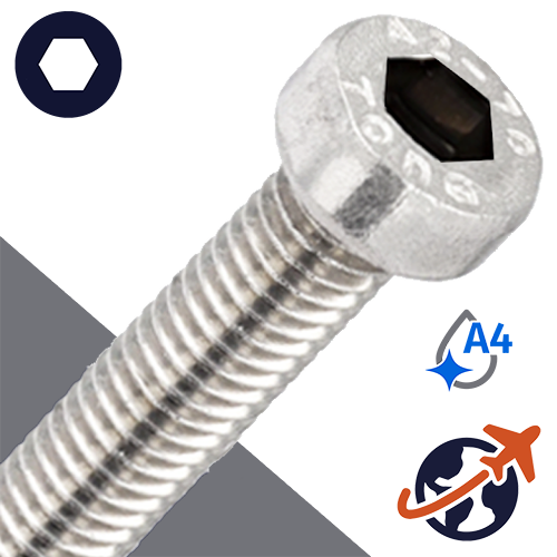 M5X0.8 Low Socket Head Pilot Hole - A4 Stainless DIN 6912