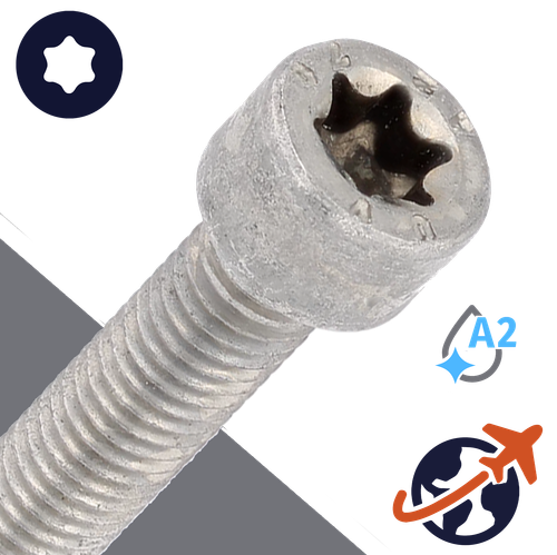 M8X1.25 Torx Socket Head - A2-70 Stainless ISO 14579