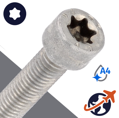 M8X1.25 Torx Socket Head - A4-70 Stainless ISO 14579