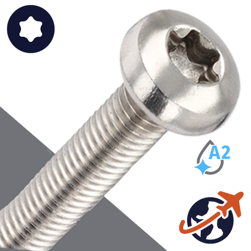 M8X1.25 Torx Pan Head - A2 Stainless ISO 14583