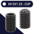 M12X1.25 Ex Fine Set Screw,Steel Class 45H,DIN 916 Cup Point