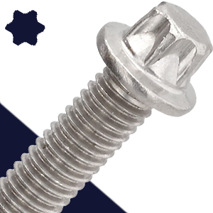 Screws External Torx Flange BelMetric