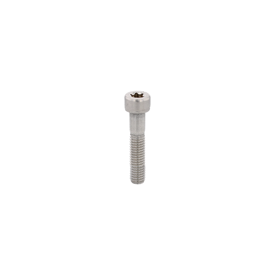 M4X0.7 Torx Socket Head - A2 Stainless ISO 14579 - BelMetric