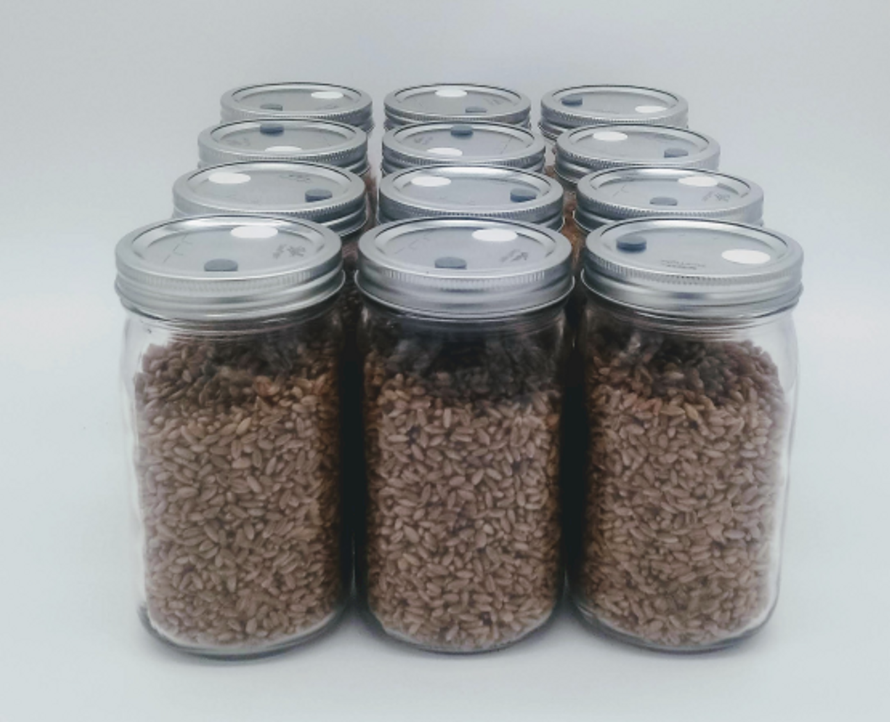 Sterilized Rye Berry Quart Jar