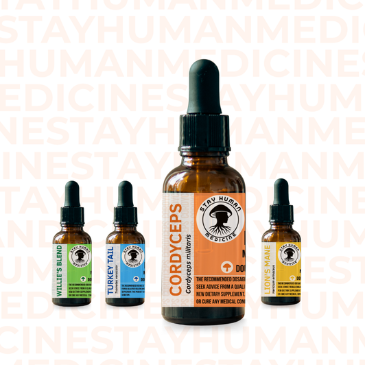 Cordyceps Mushroom Extract