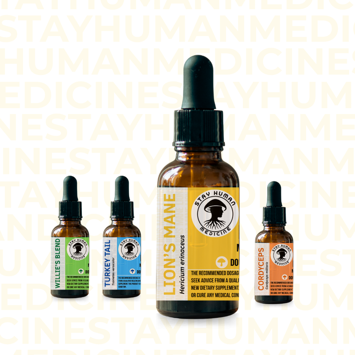 Lion’s Mane Mushroom Extract