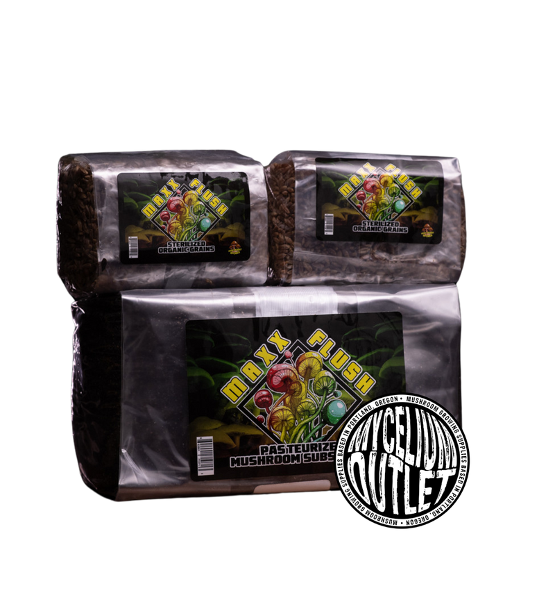 Maxx Flush™ Kit 1