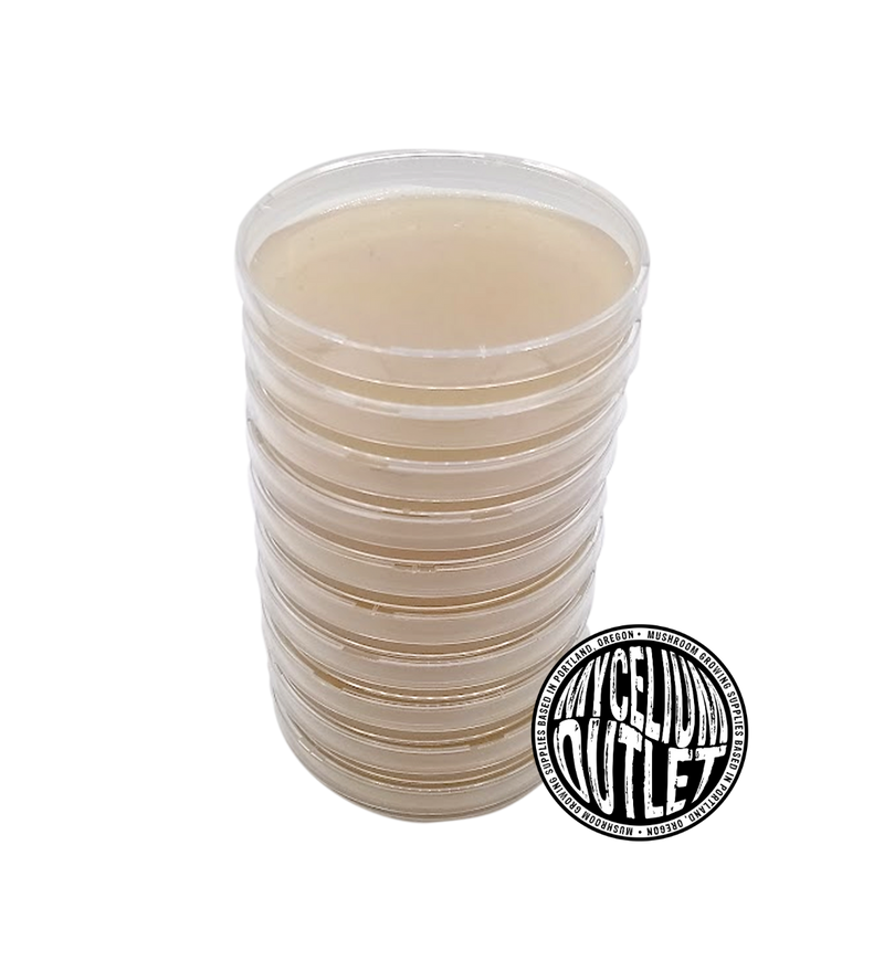 Pre-pour Agar Plates (10 pack)