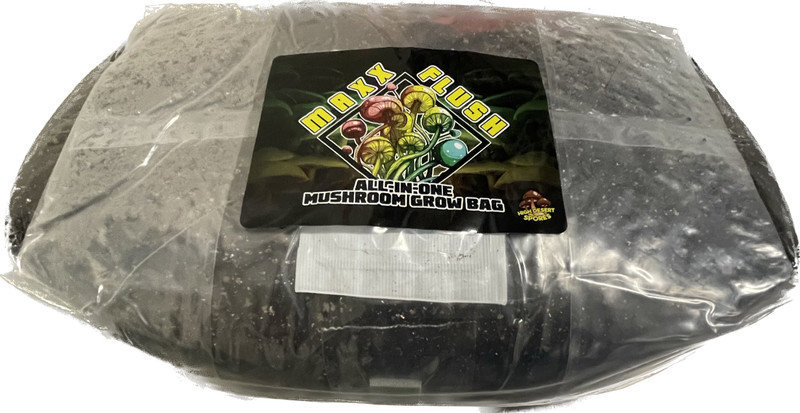 Maxx Flush™ All in one mushroom grow bag 4lbs (stick and grow)