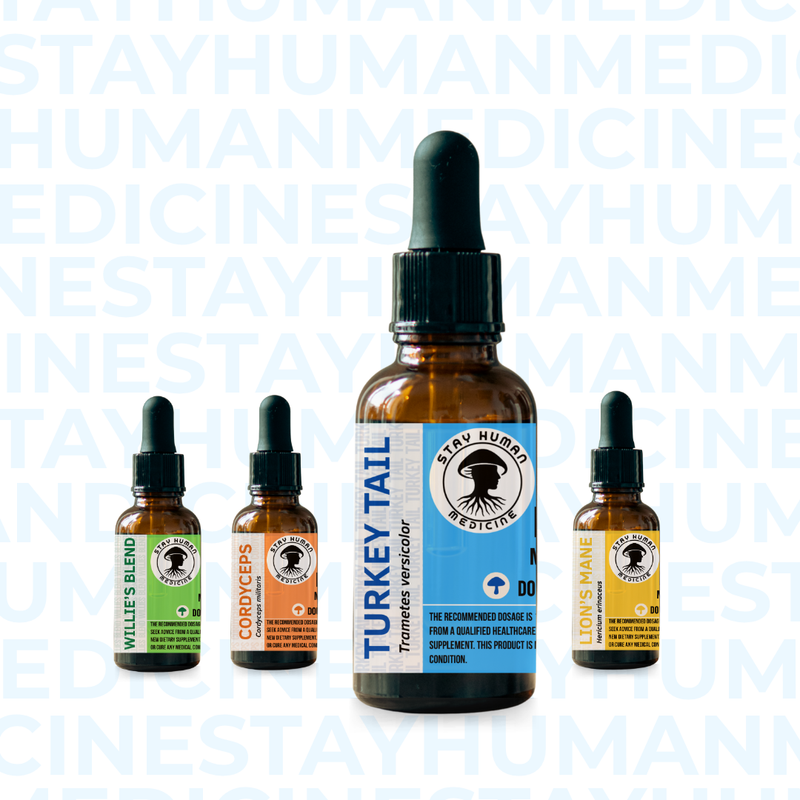 Turkey Tail Mushroom Extract