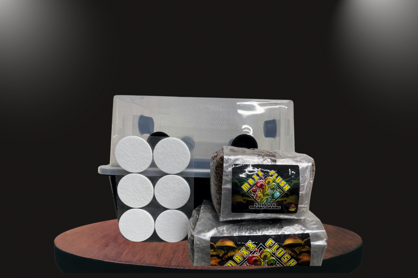 Exploring Where to Score the Best Mushroom Growing Kits Exploring Where to Score the Best Mushroom Growing Kits