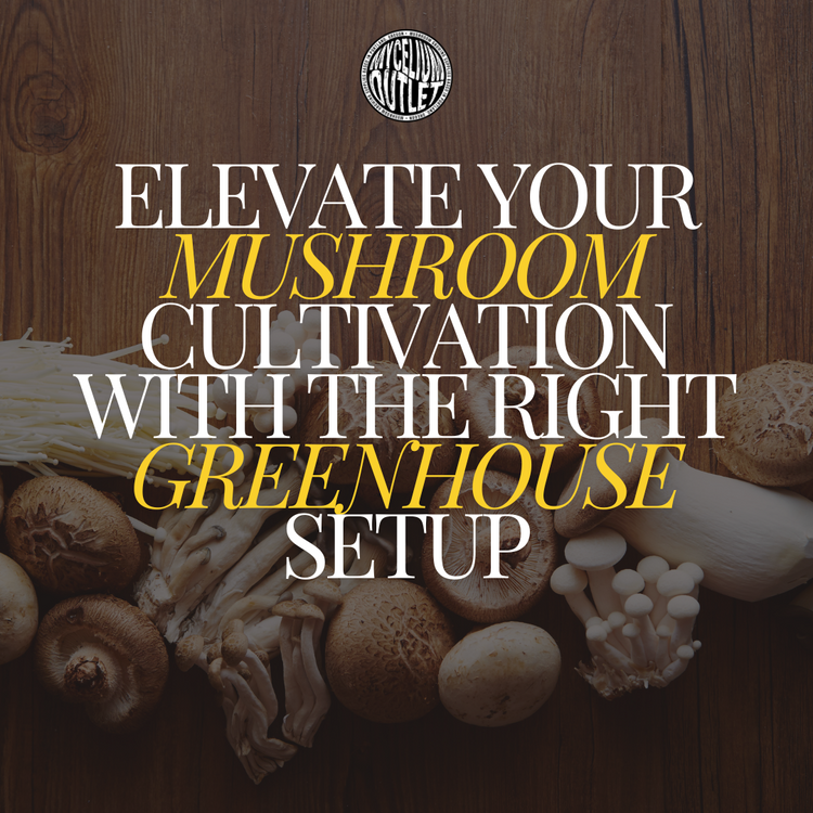 Greenhouse Essentials: Indoor and Outdoor Growing Made Simple Greenhouse Essentials: Indoor and Outdoor Growing Made Simple
