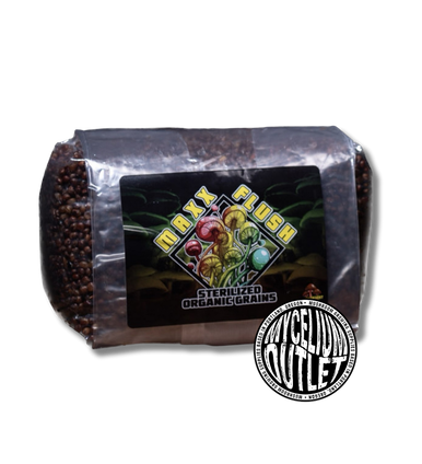 Maxx Flush™ Sterilized Milo Spawn Bags | Premium Mushroom Growing