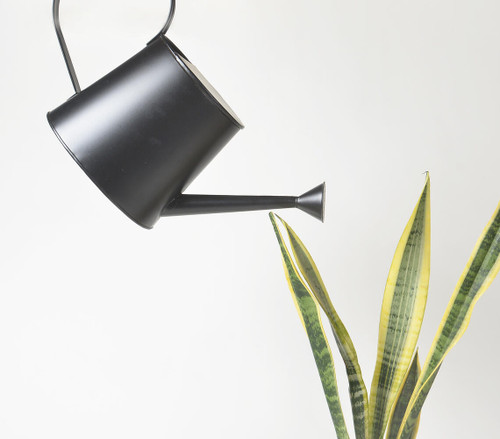 Handmade Matte Black Metal Watering can