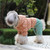 Pet Dag Winter Clothes Jacket Coat Overalls For Dogs Cotton Warm Fleece Dog Clothes Winter Star Corduroy Fleece Teddy