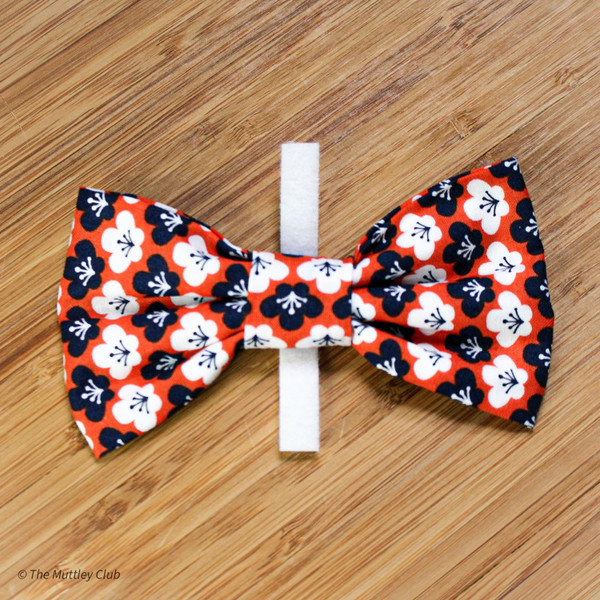 Orange with navy and white design bow tie