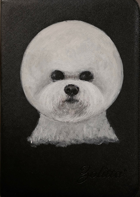 Female Bichon Frise case