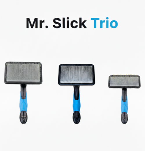 Mr. Slick Trio
