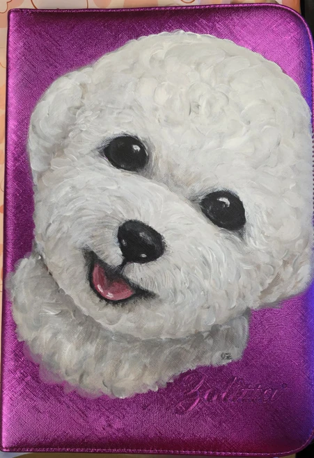 Bichon Teddy Bear 20 Scissors/8 Combs Canvas case