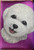 Bichon Teddy Bear 20 Scissors/8 Combs Canvas case