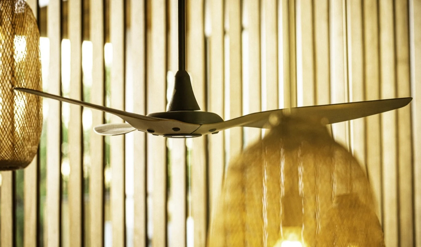 Ceiling Fans
