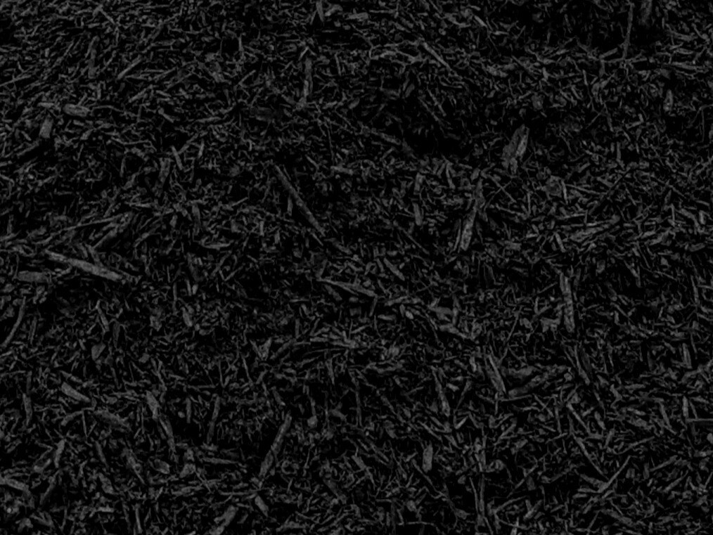 Jet Black Dyed Mulch (per yard)