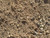 General Fill Dirt (per yard)