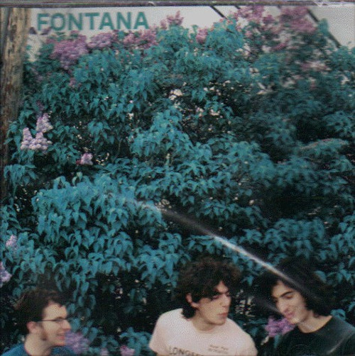 Fontana - Fontana, Lp