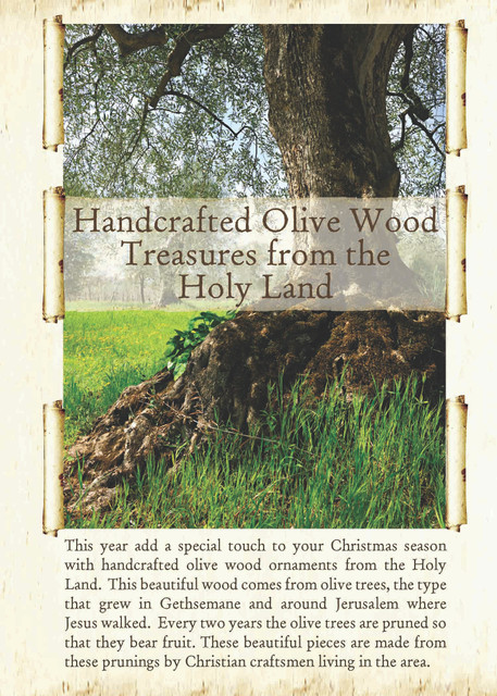 Olive Tree