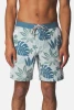 KATIN OASIS HYBRID TRUNK