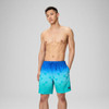 SPEEDO ENGINEERED PRINT REDONDO EDGE VOLLEY 18"