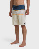 QUIKSILVER SURFSILK PANEL 20" BOARDSHORT