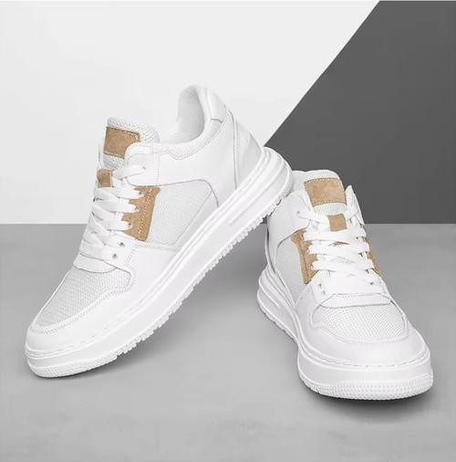 Baskets – Zenith™ zaxx