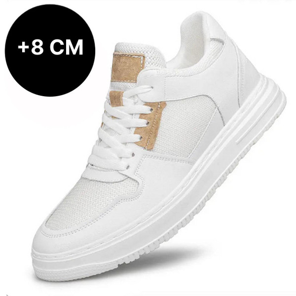 Baskets – Zenith™ zaxx