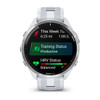 Garmin Forerunner 965 - Titanium with Whitestone/Powder Gray Band