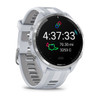 Garmin Forerunner 965 - Titanium with Whitestone/Powder Gray Band