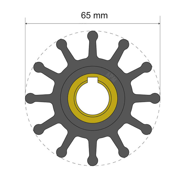 Albin Group Albin Pump Premium Impeller Kit 65 x 15.8 x 41.5mm - 12 Blade - Key Insert [06-01-018] MyGreenOutdoors