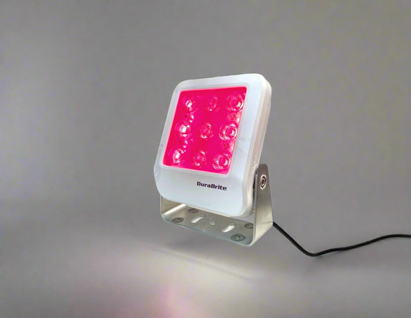 DuraBrite Gemini WR Floodlight - White Housing [SLM08504D1SW-620/D]