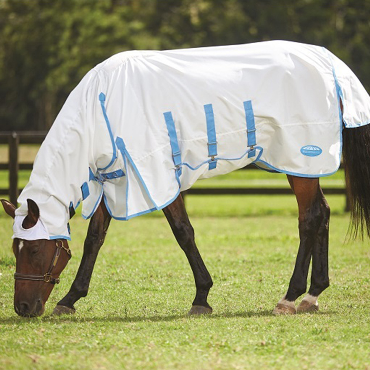 Horse wearing Weatherbeeta Sweet Itch Shield