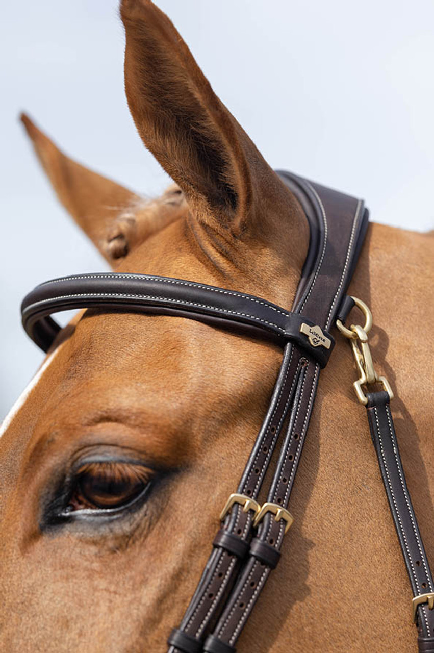 LeMieux Work Bridle