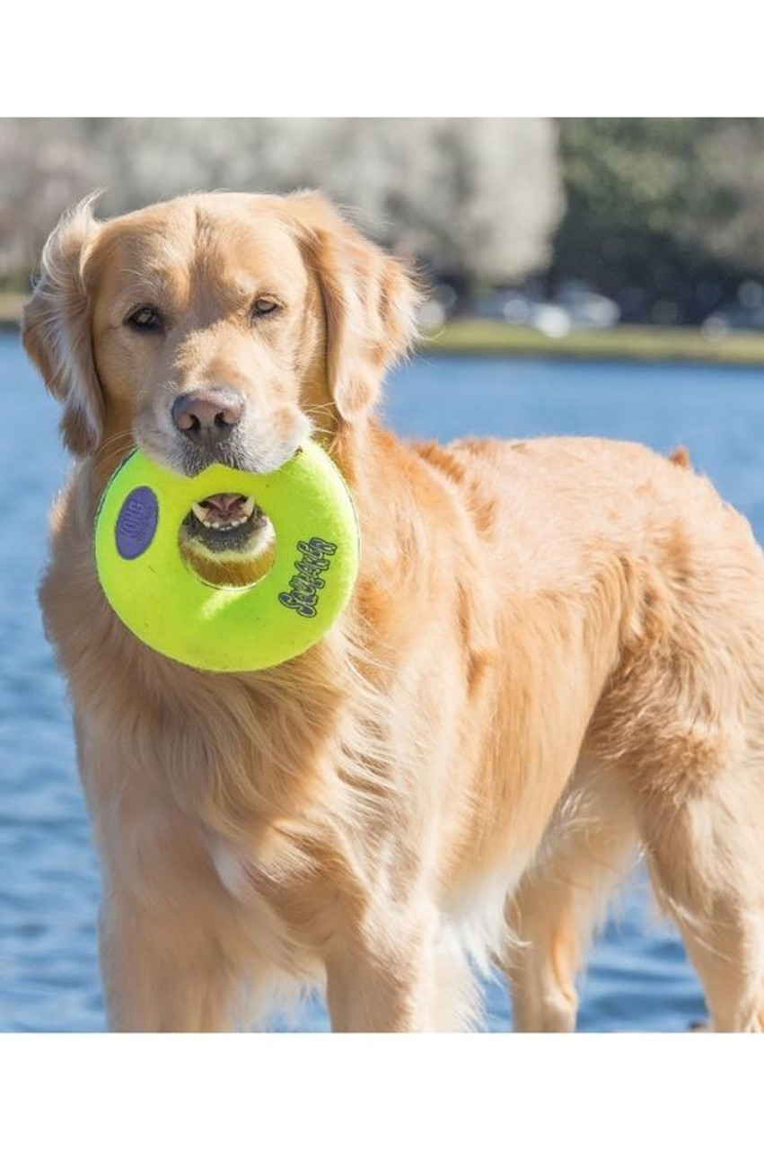 Kong AirDog Squeaker Donut Dog water and tug Toy in Small