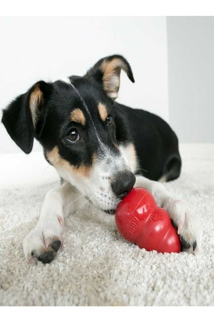 KONG Bamboo Feeder Ball Dog Toy